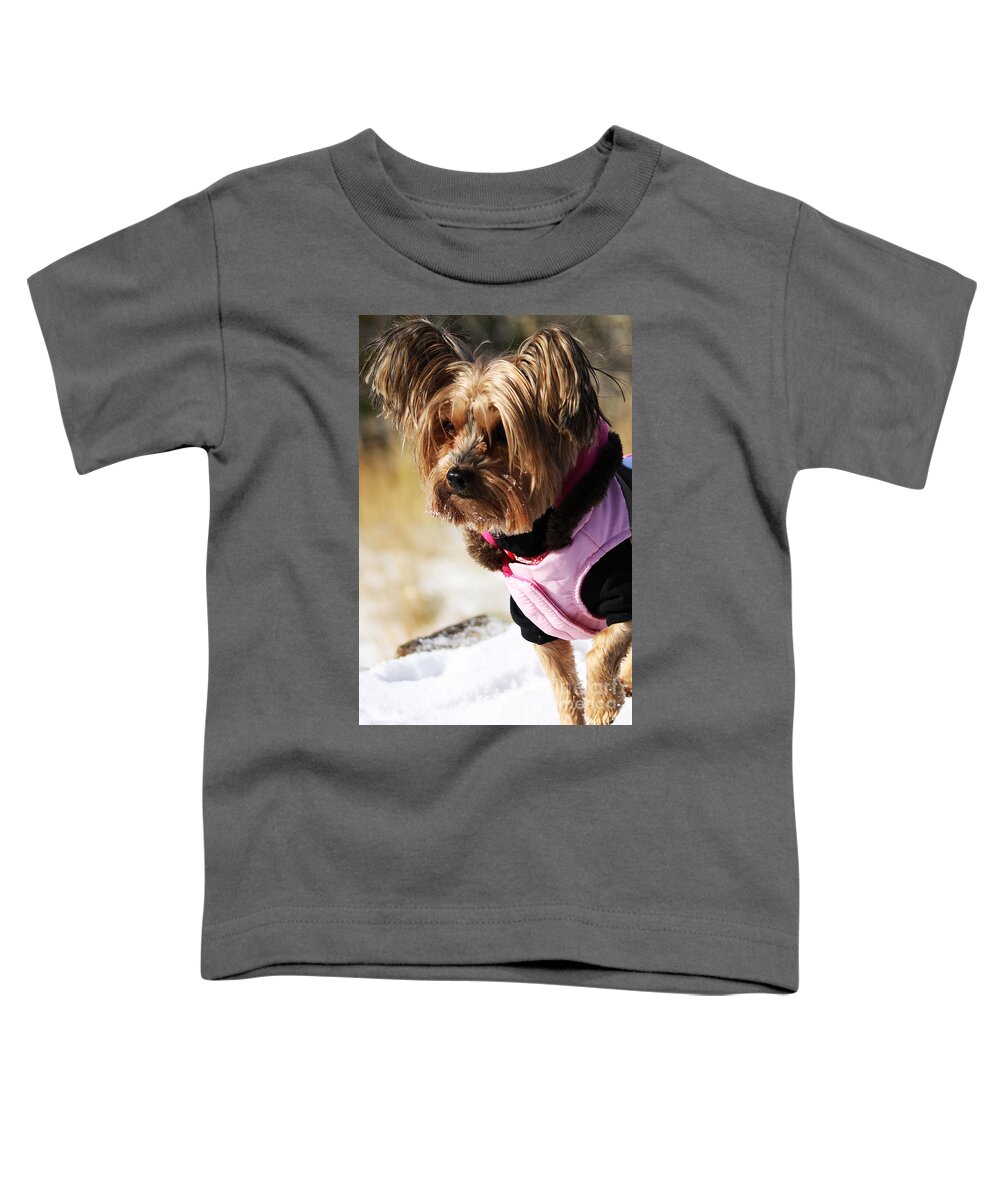 Dog Toddler T-Shirt featuring the photograph Winter Jacket by Alyce Taylor