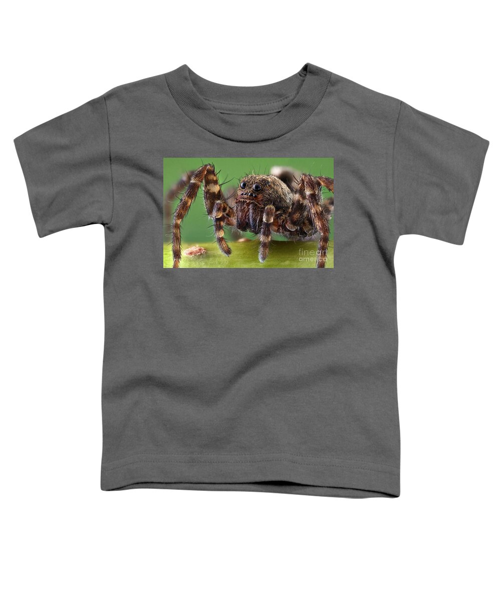 Wolf Spider Toddler T-Shirt featuring the photograph Wolf Spider by Matthias Lenke