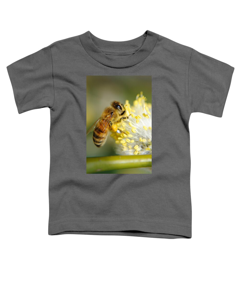 Bee Toddler T-Shirt featuring the photograph Worker Bee by Frozen in Time Fine Art Photography