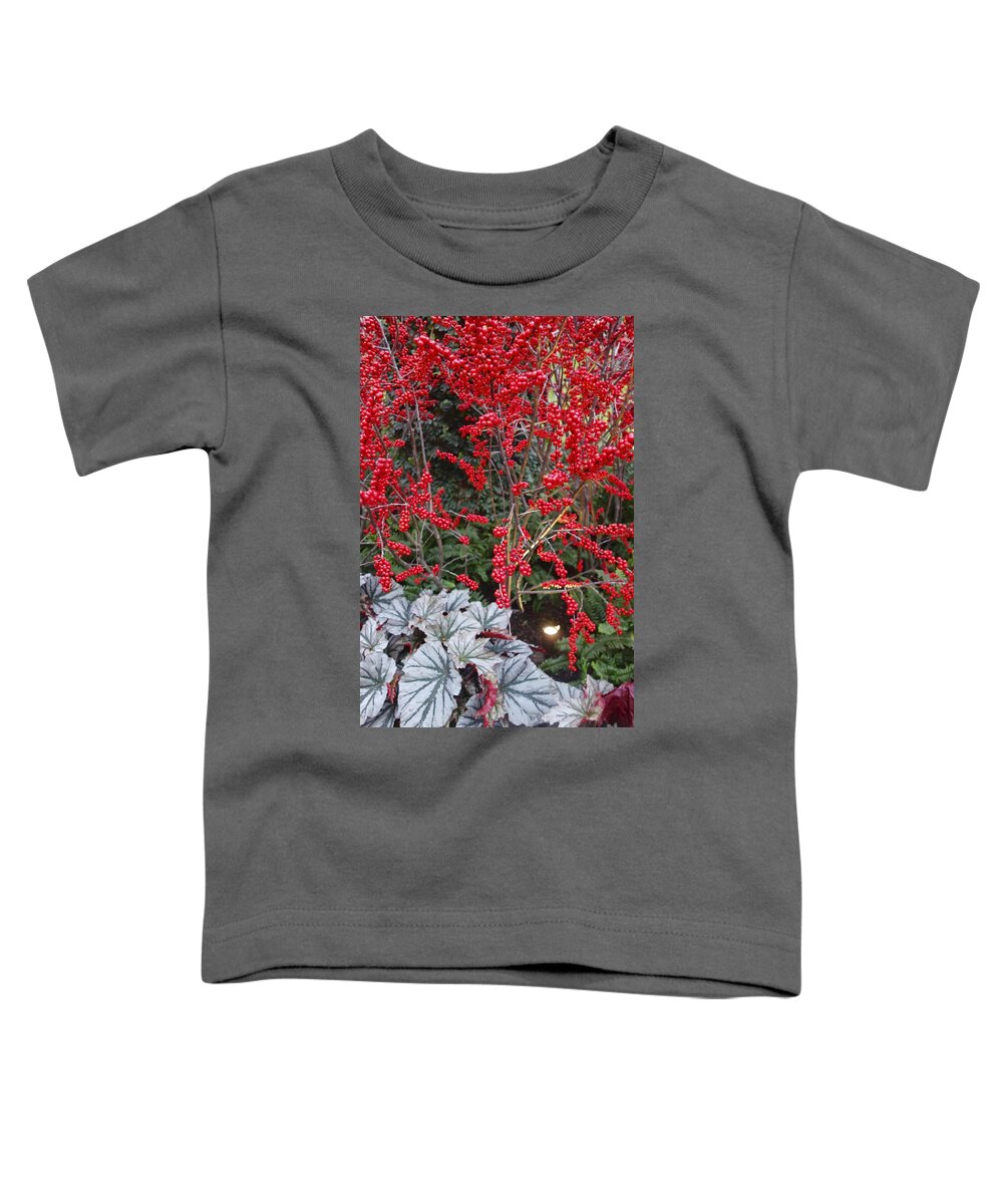 Christmas Berries Toddler T-Shirt featuring the photograph Xmass Berries by Joan Reese