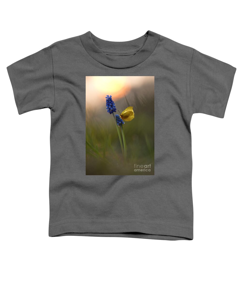 Yellow Toddler T-Shirt featuring the photograph Yellow butterfly on grape hyacinths by Jaroslaw Blaminsky
