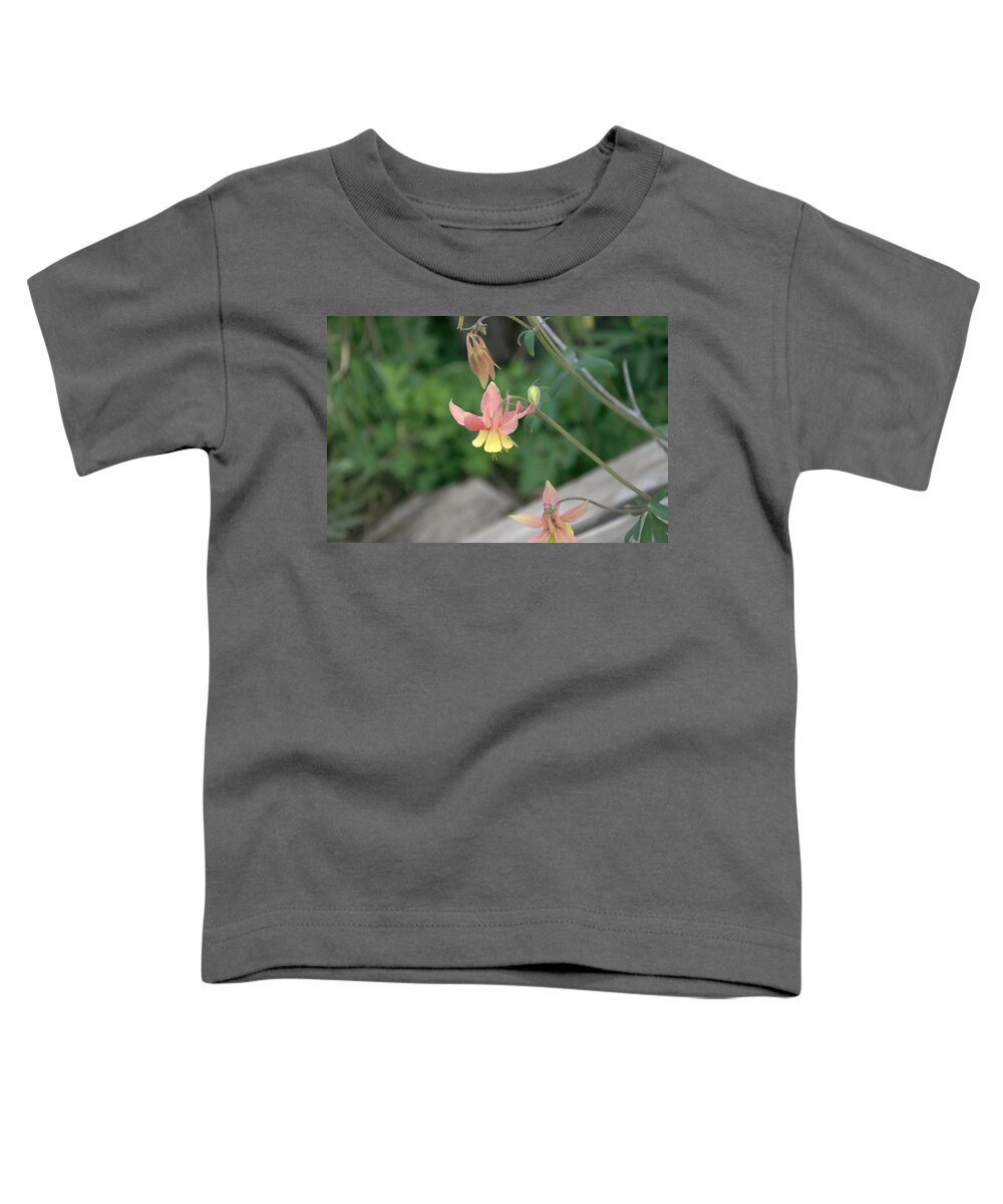Yellow Toddler T-Shirt featuring the photograph Yellow Columbine 2 by Frank Madia