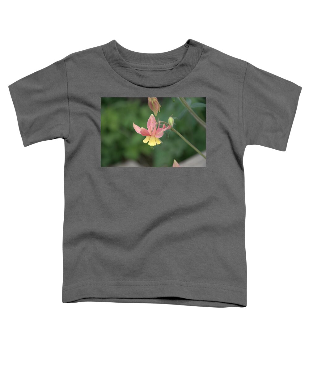 Flower Toddler T-Shirt featuring the photograph Yellow Columbine by Frank Madia