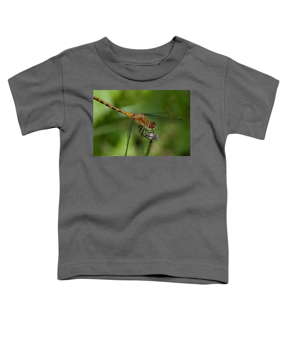 Dragonfly Toddler T-Shirt featuring the photograph Yellow Dragon 4 by WB Johnston