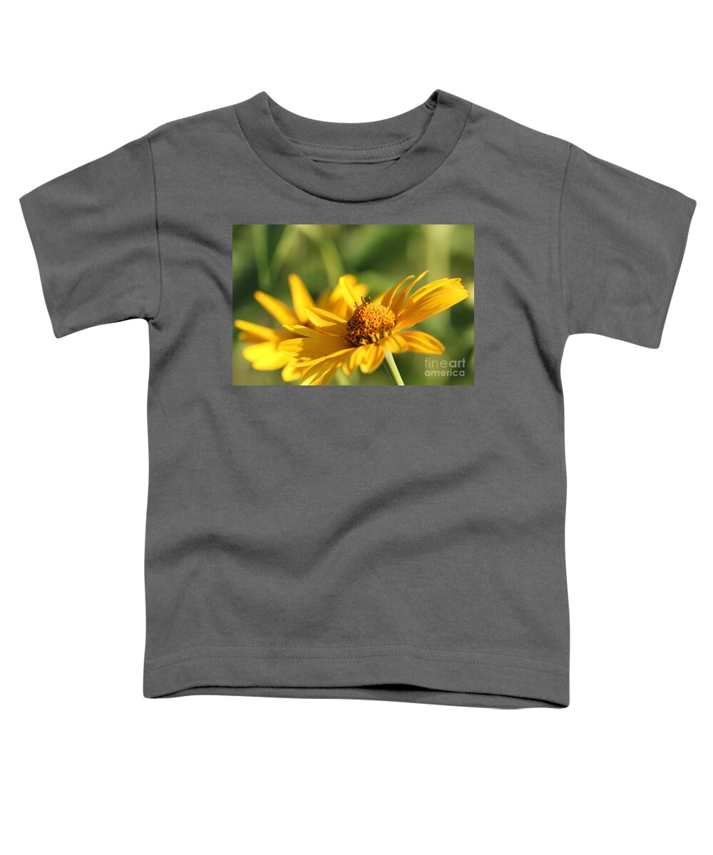 Blossom Toddler T-Shirt featuring the photograph Yellow Flower by Amanda Mohler