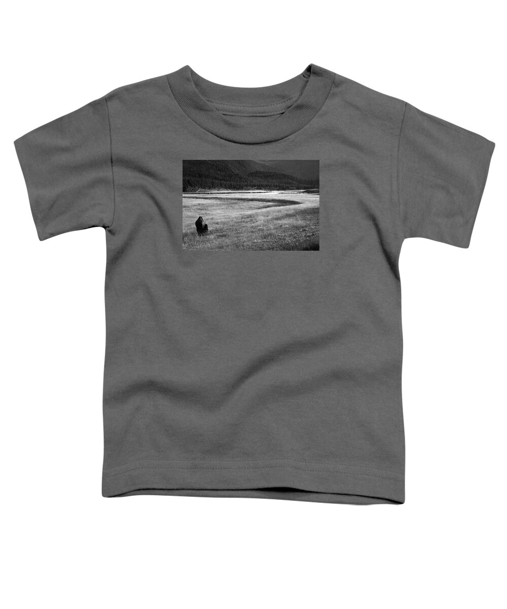 Wyoming Toddler T-Shirt featuring the photograph Yellowstone Bison Wyoming by Aidan Moran