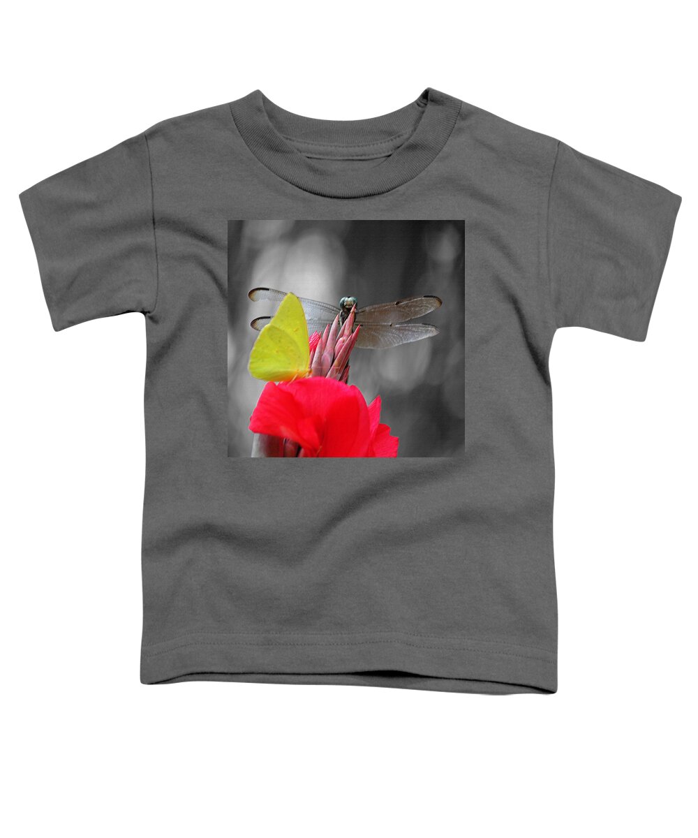 Photograph Toddler T-Shirt featuring the photograph Yoo Hoo II by Suzanne Gaff