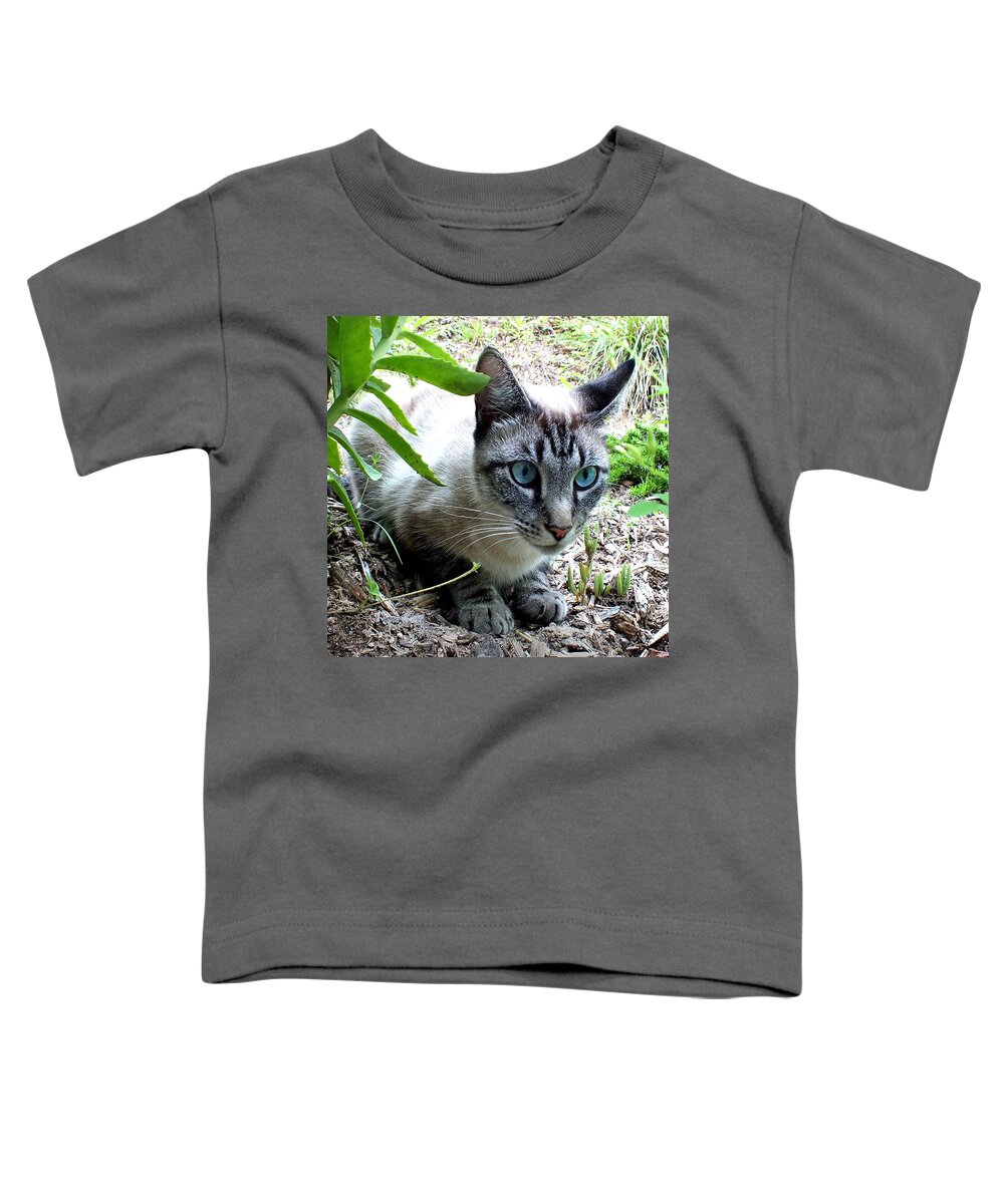 Duane Mccullough Toddler T-Shirt featuring the photograph Zing the Cat in the Garden by Duane McCullough