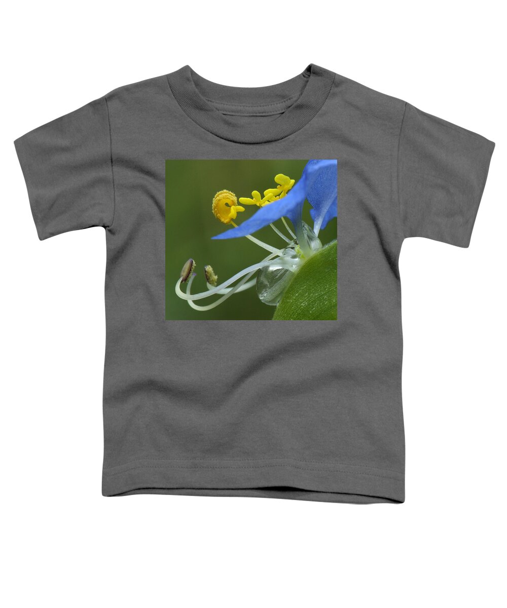 Slender Dayflower Toddler T-Shirt featuring the photograph Close View Of Slender Dayflower Flower With Dew by Daniel Reed