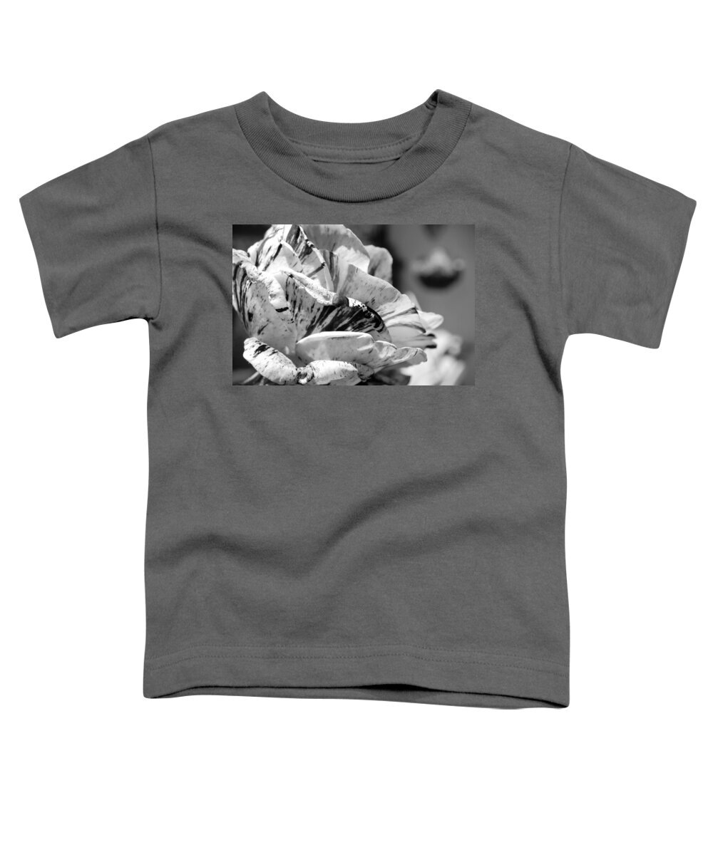 Rose Toddler T-Shirt featuring the photograph Black and White Stripe Rose #1 by Amy Fose