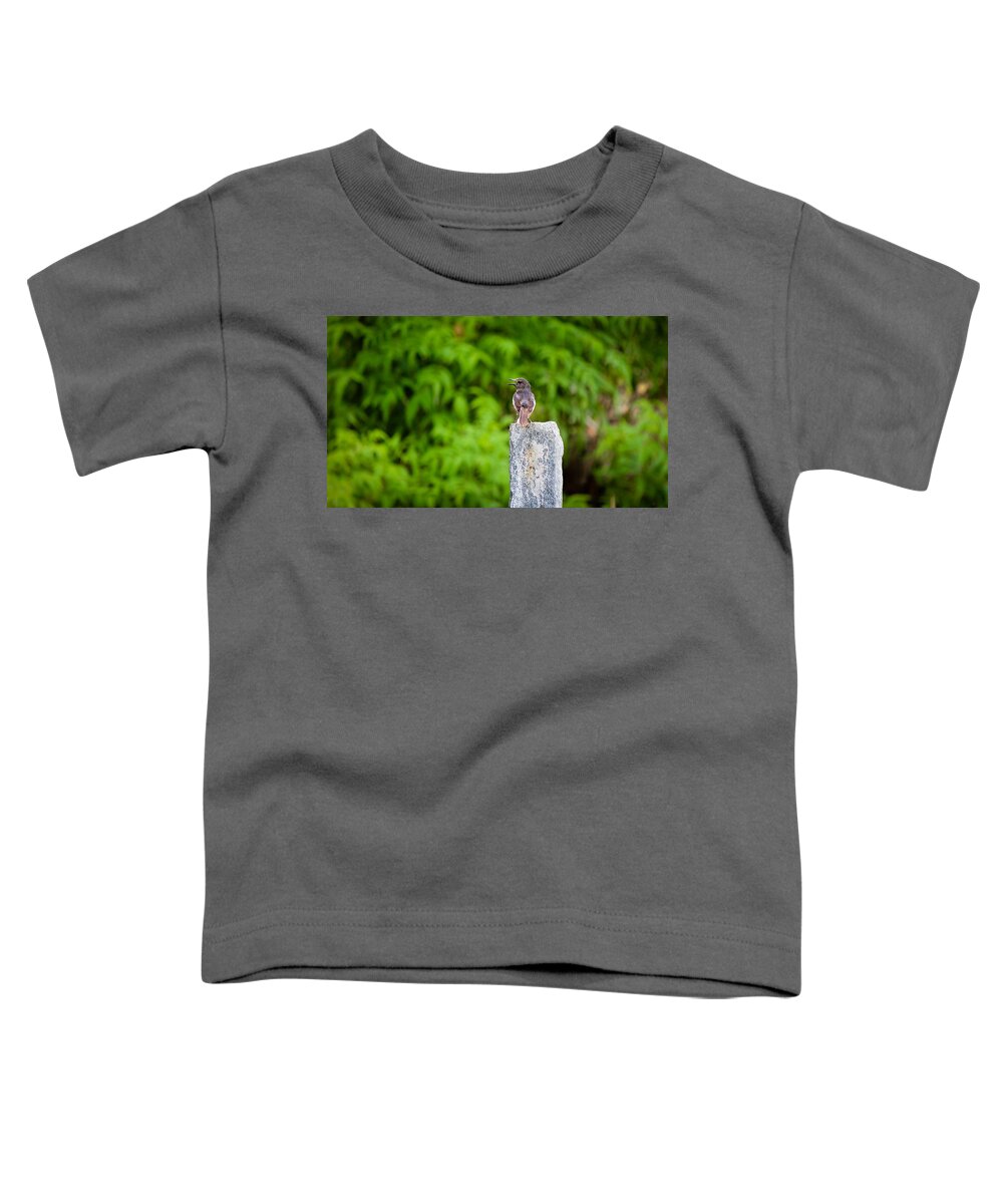Calling Toddler T-Shirt featuring the photograph Call Out #1 by SAURAVphoto Online Store