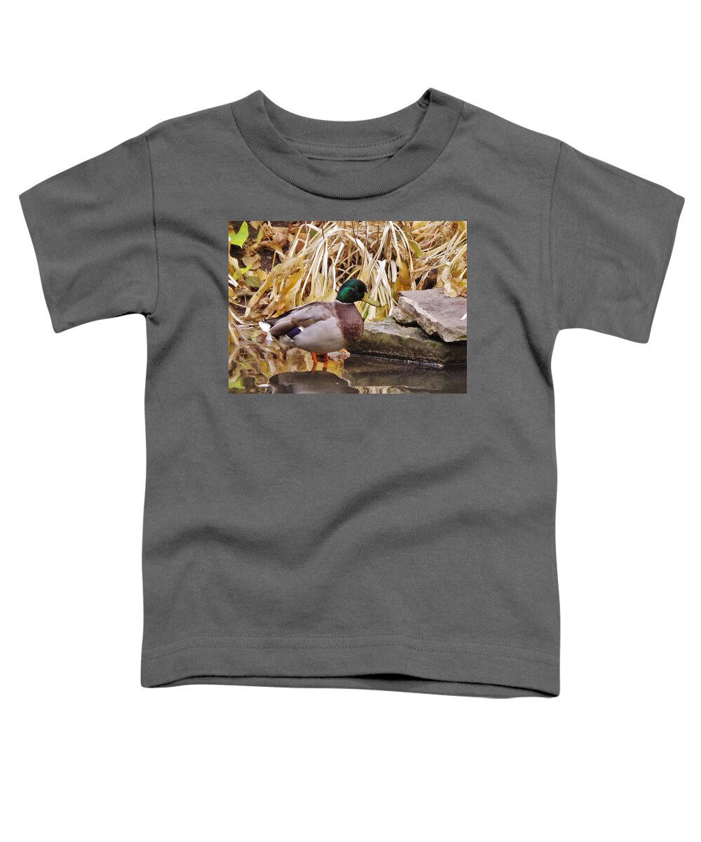 Autumn Toddler T-Shirt featuring the photograph Mallard by Ian MacDonald