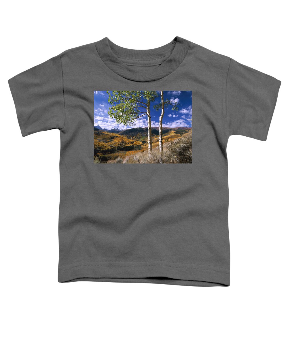 00174988 Toddler T-Shirt featuring the photograph Quaking Aspen Trees In Fall Colors #1 by Tim Fitzharris
