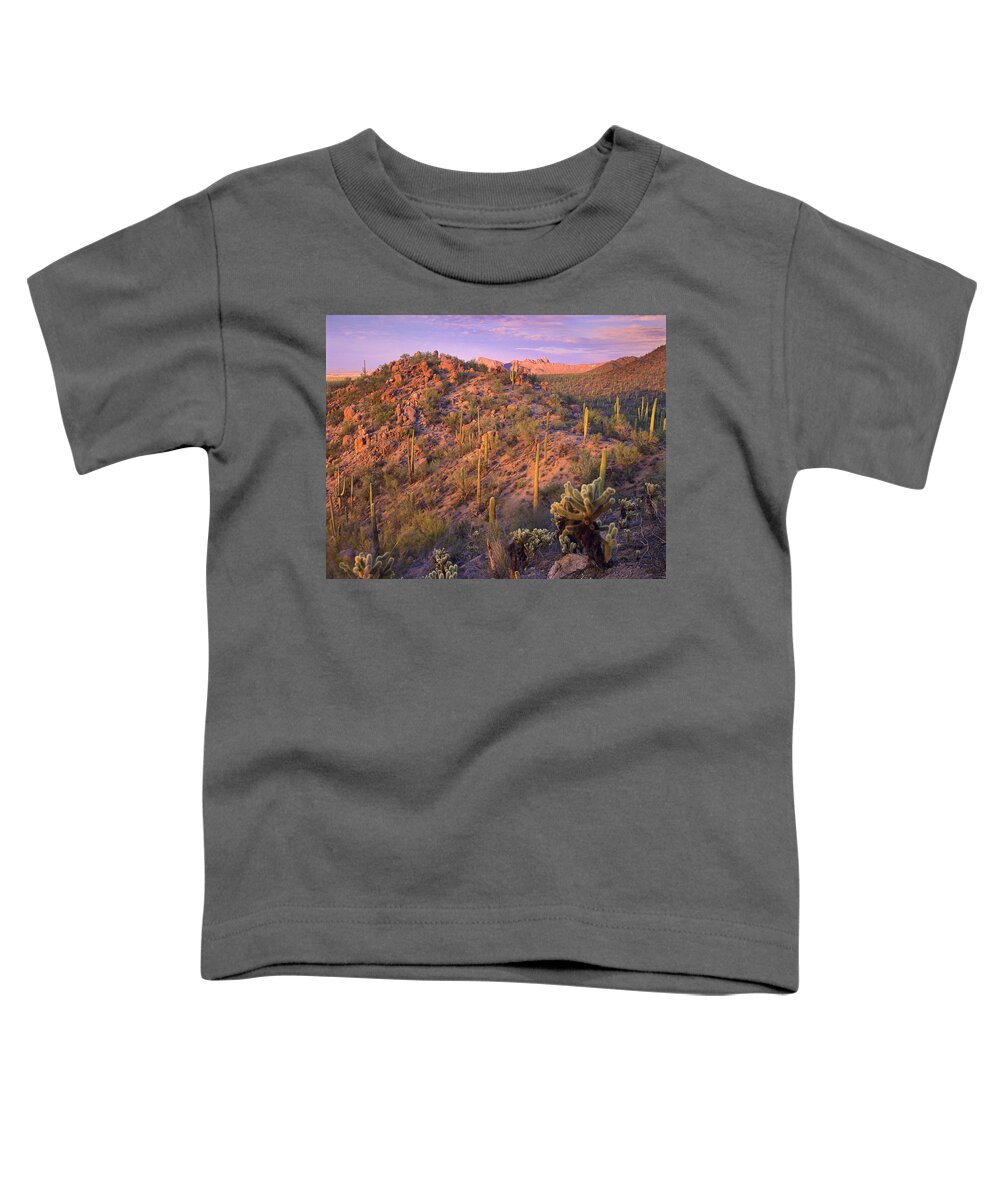 00175898 Toddler T-Shirt featuring the photograph Saguaro And Teddybear Cholla #1 by Tim Fitzharris