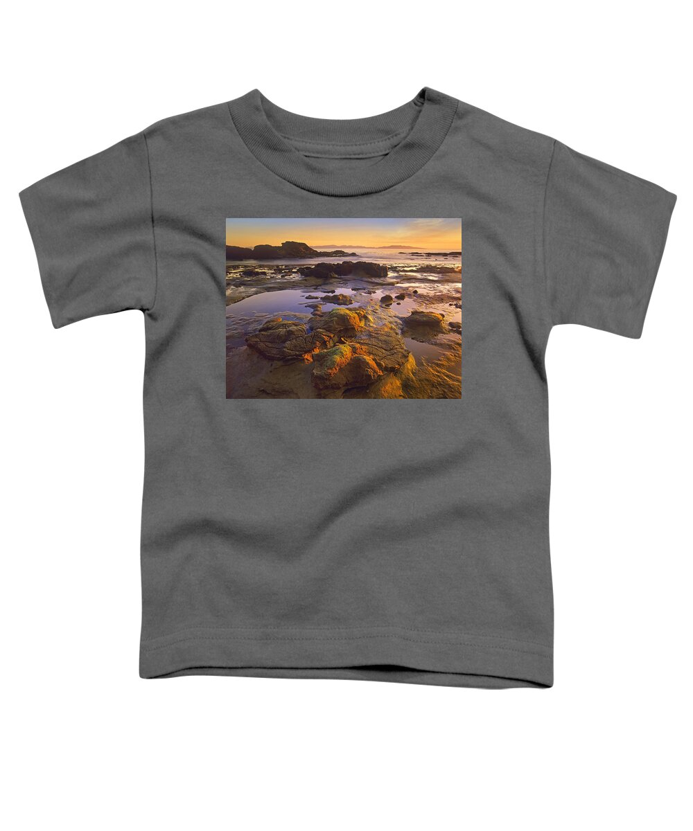 00175697 Toddler T-Shirt featuring the photograph Tidepools Exposed At Low Tide Botanical #1 by Tim Fitzharris