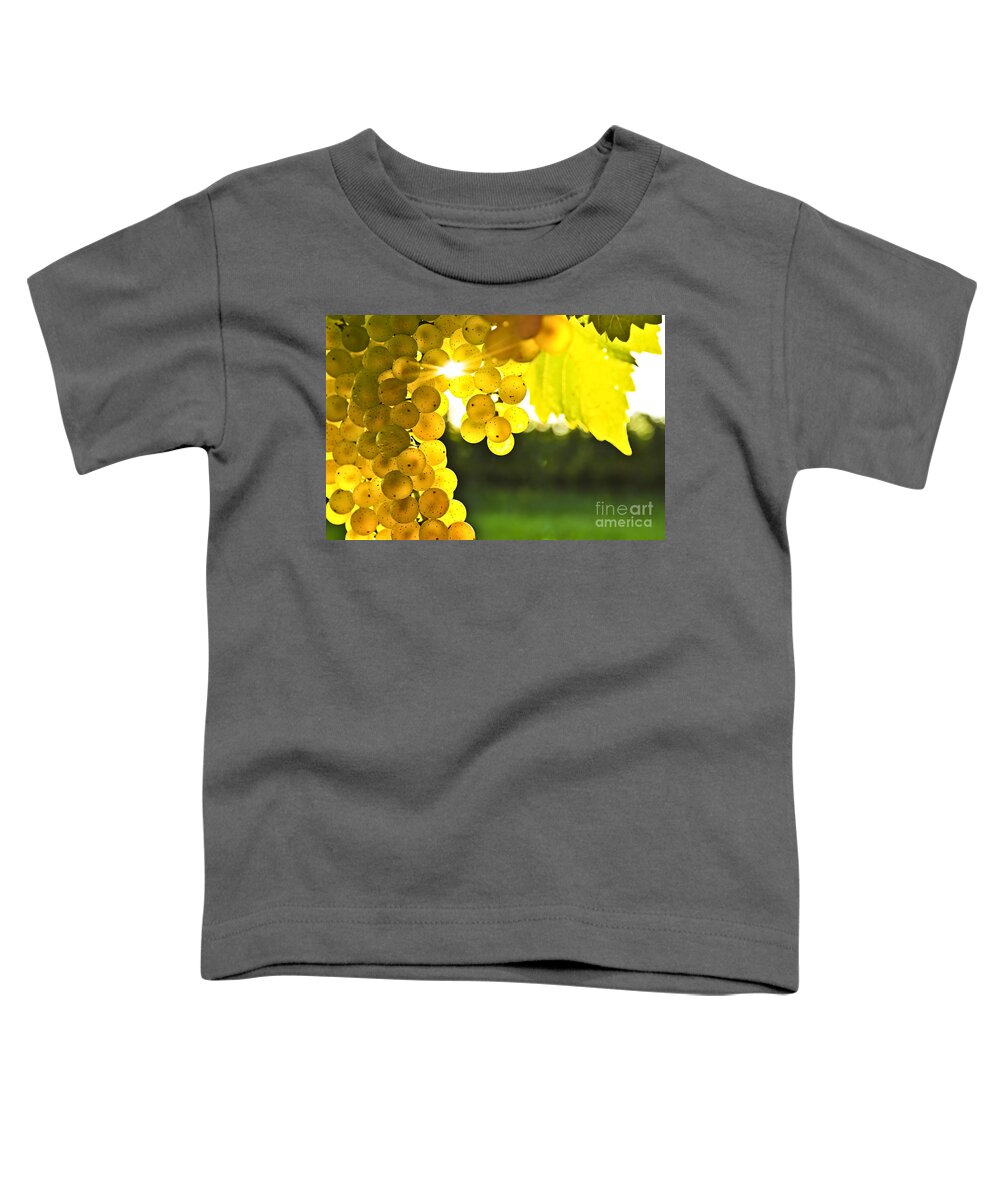 Grape Toddler T-Shirt featuring the photograph Yellow grapes in low sun by Elena Elisseeva