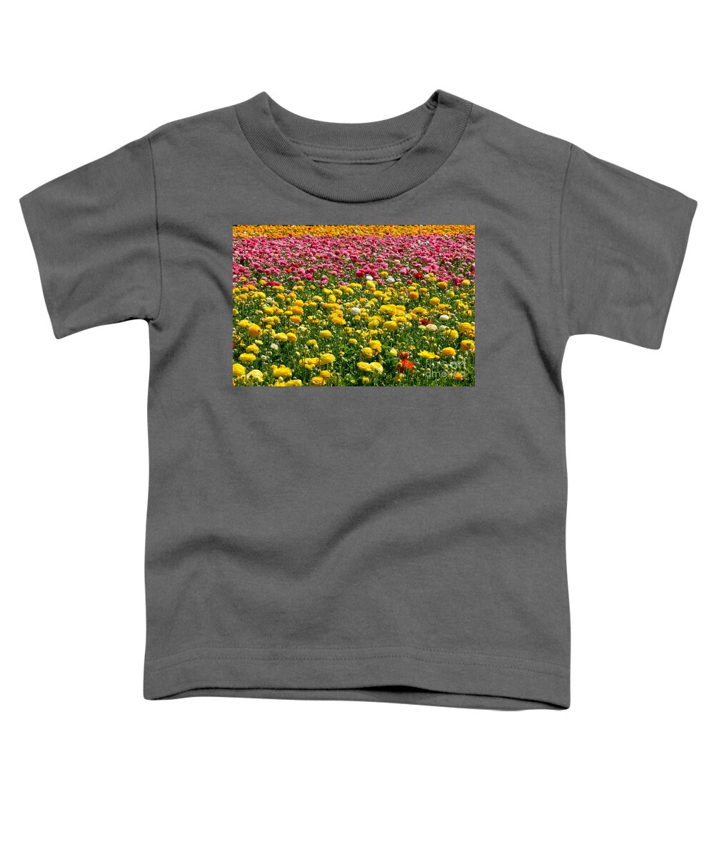 Flowers Toddler T-Shirt featuring the photograph Flower Fields #19 by Daniel Knighton