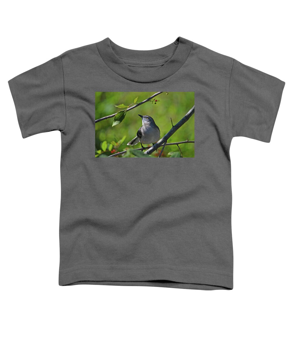  Toddler T-Shirt featuring the photograph 22- Mockingbird by Joseph Keane
