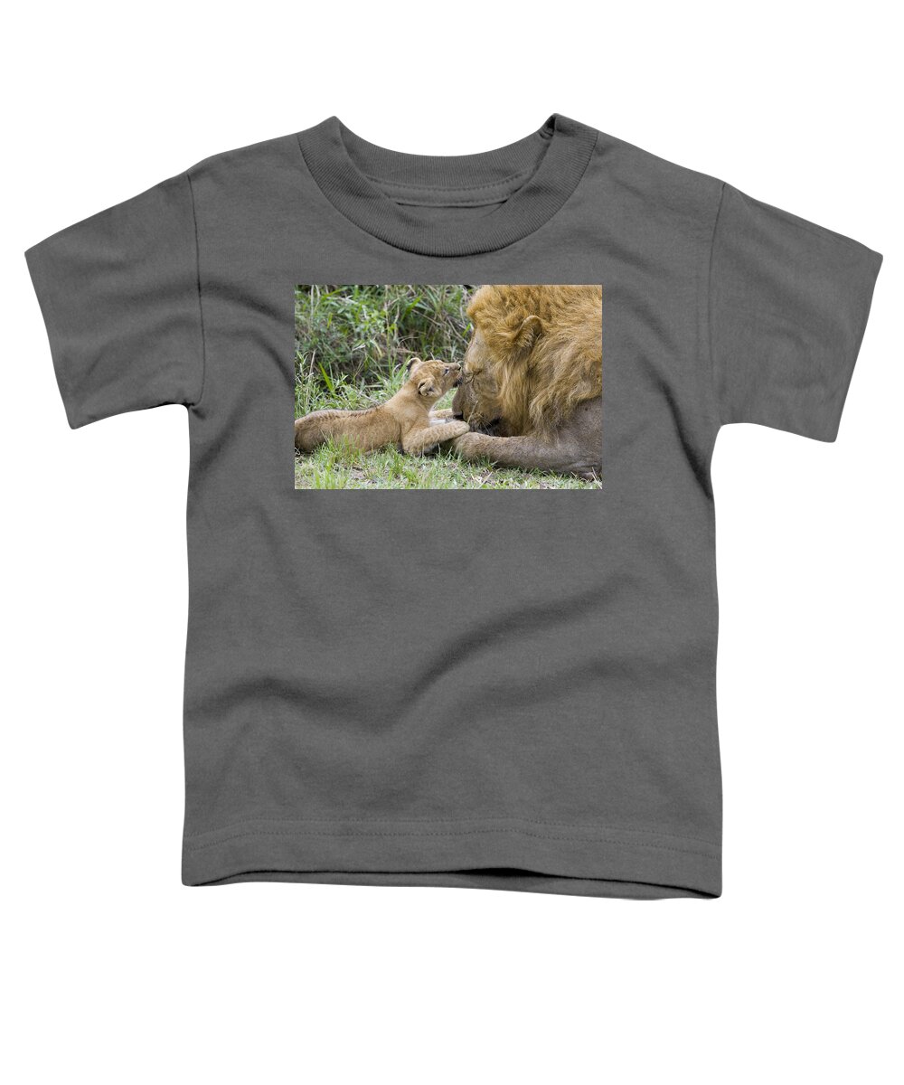 00761318 Toddler T-Shirt featuring the photograph African Lion Cub Playing With Adult #4 by Suzi Eszterhas