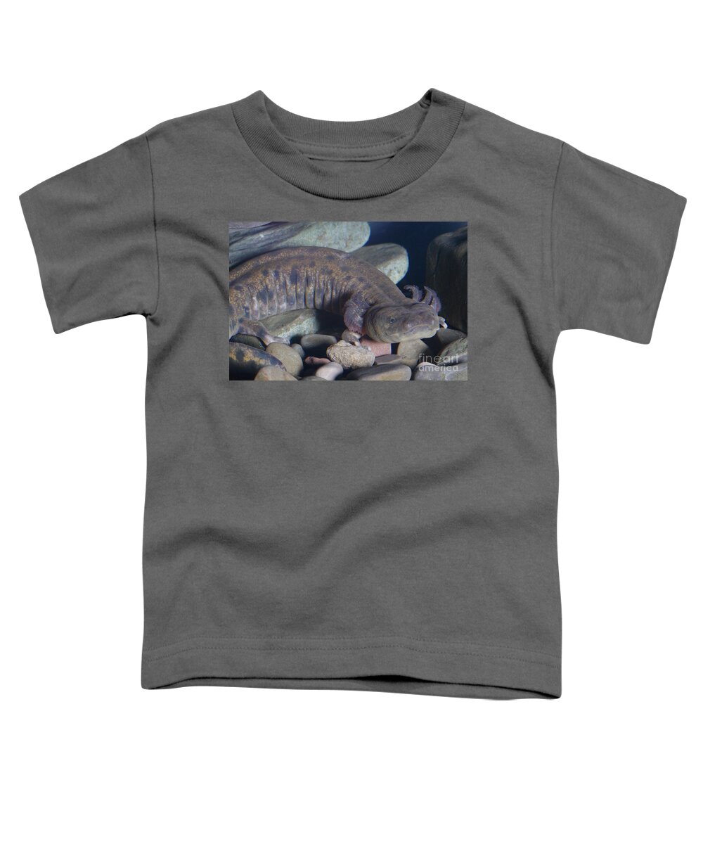 Mudpuppy Toddler T-Shirt featuring the photograph Mudpuppy #7 by Ted Kinsman