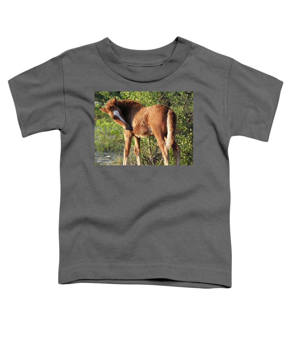 Foal Toddler T-Shirt featuring the photograph A Perfect Foal by Kim Galluzzo