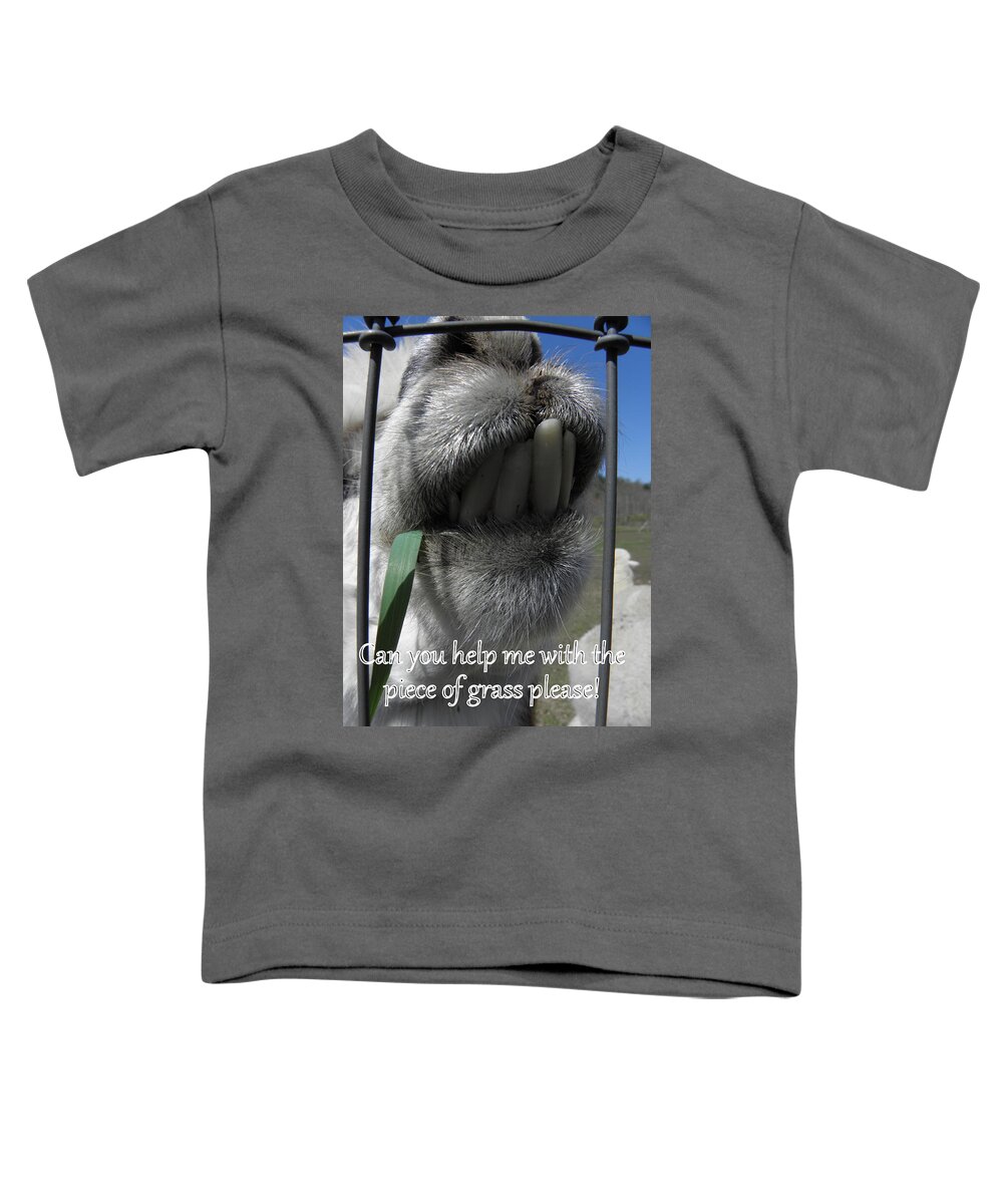 Alpaca Toddler T-Shirt featuring the photograph Alpaca funnies by Kim Galluzzo