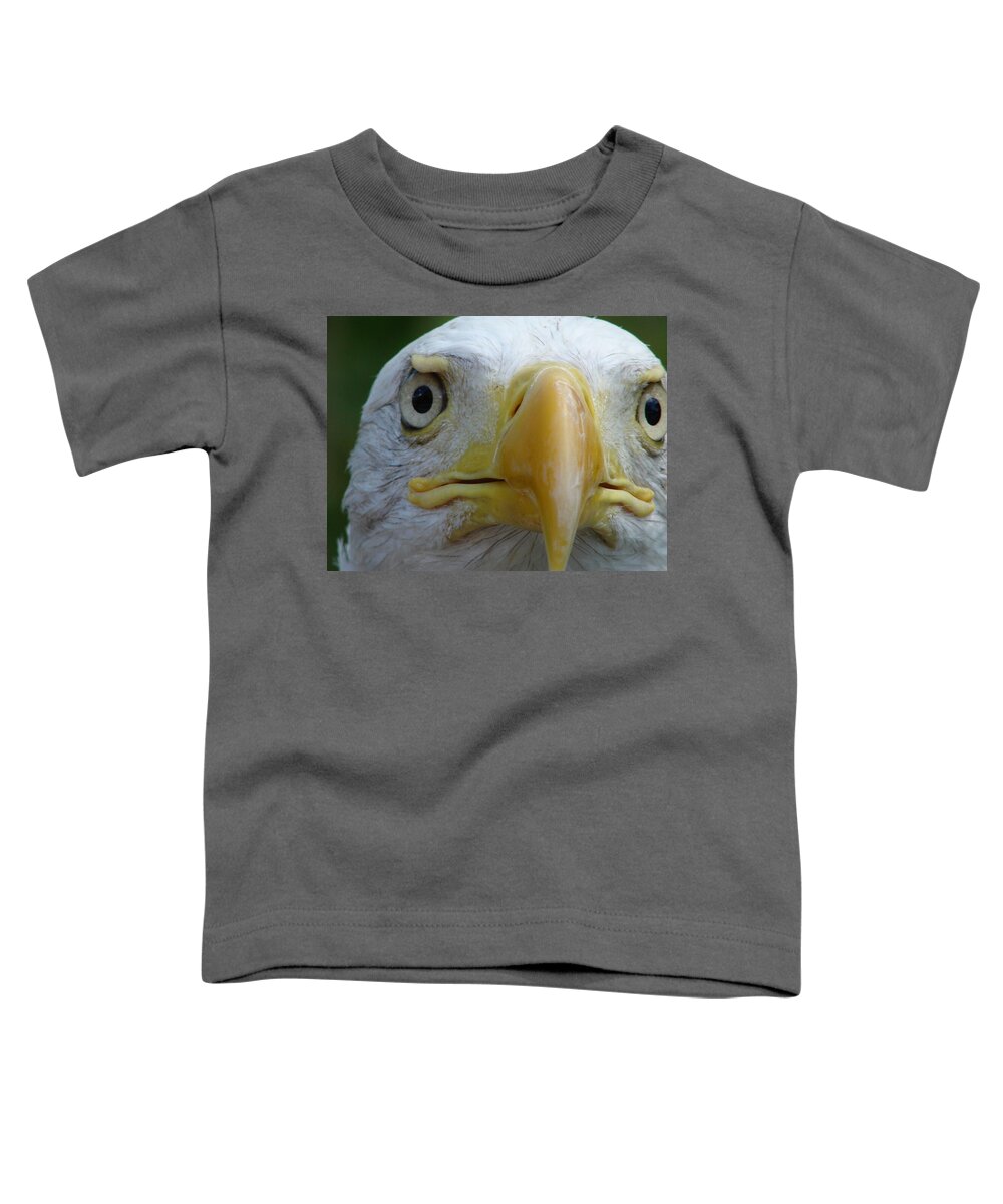 American Bald Eagle Toddler T-Shirt featuring the photograph American Bald Eagle by Randy J Heath