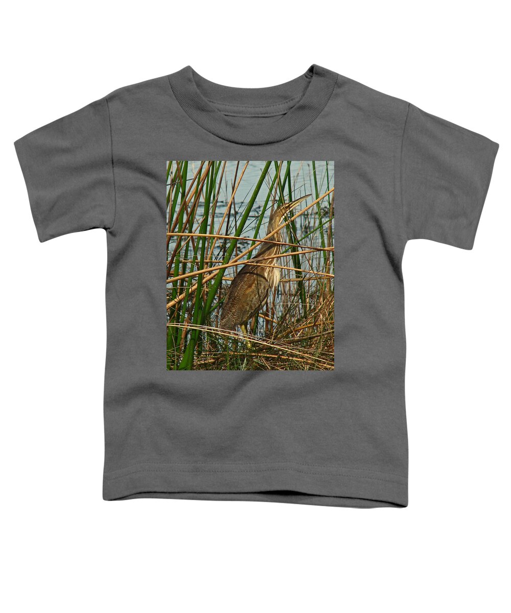 Nature Toddler T-Shirt featuring the photograph American Bittern by Peggy Urban