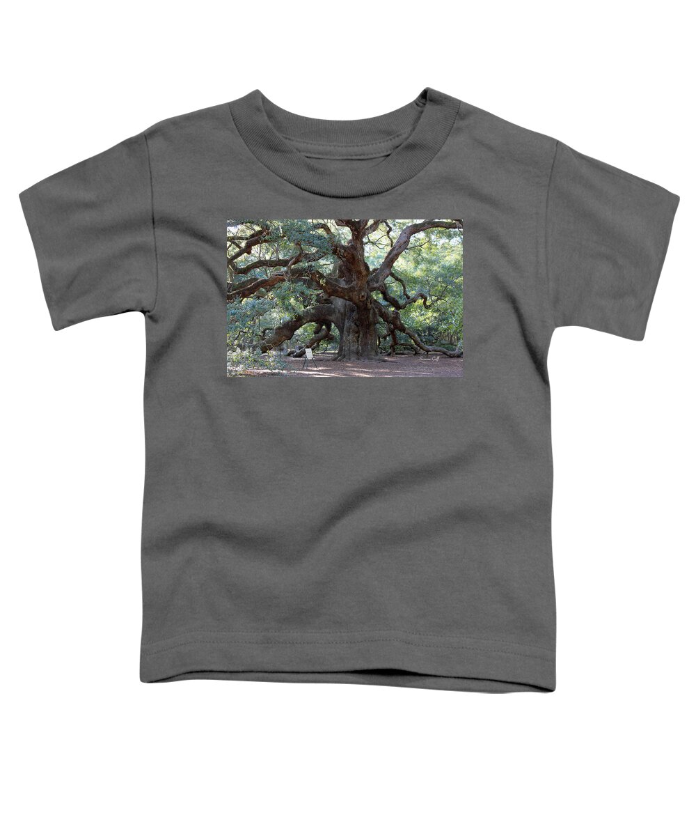 Angel Oak Toddler T-Shirt featuring the photograph Angel Oak - Dont Climb or Carve on the Tree by Suzanne Gaff