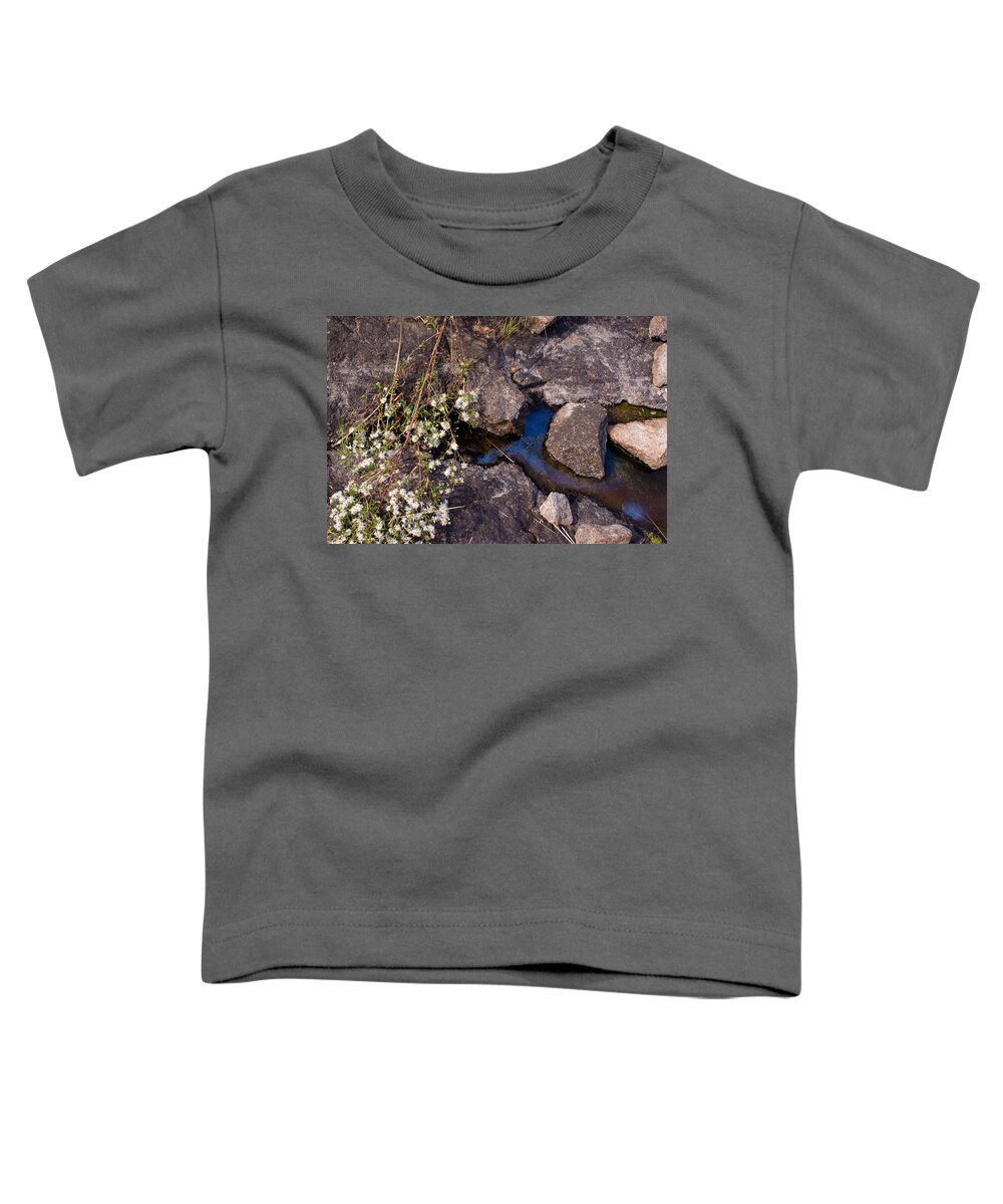 Trans Canada Trail Toddler T-Shirt featuring the photograph Another World III by Jo Smoley