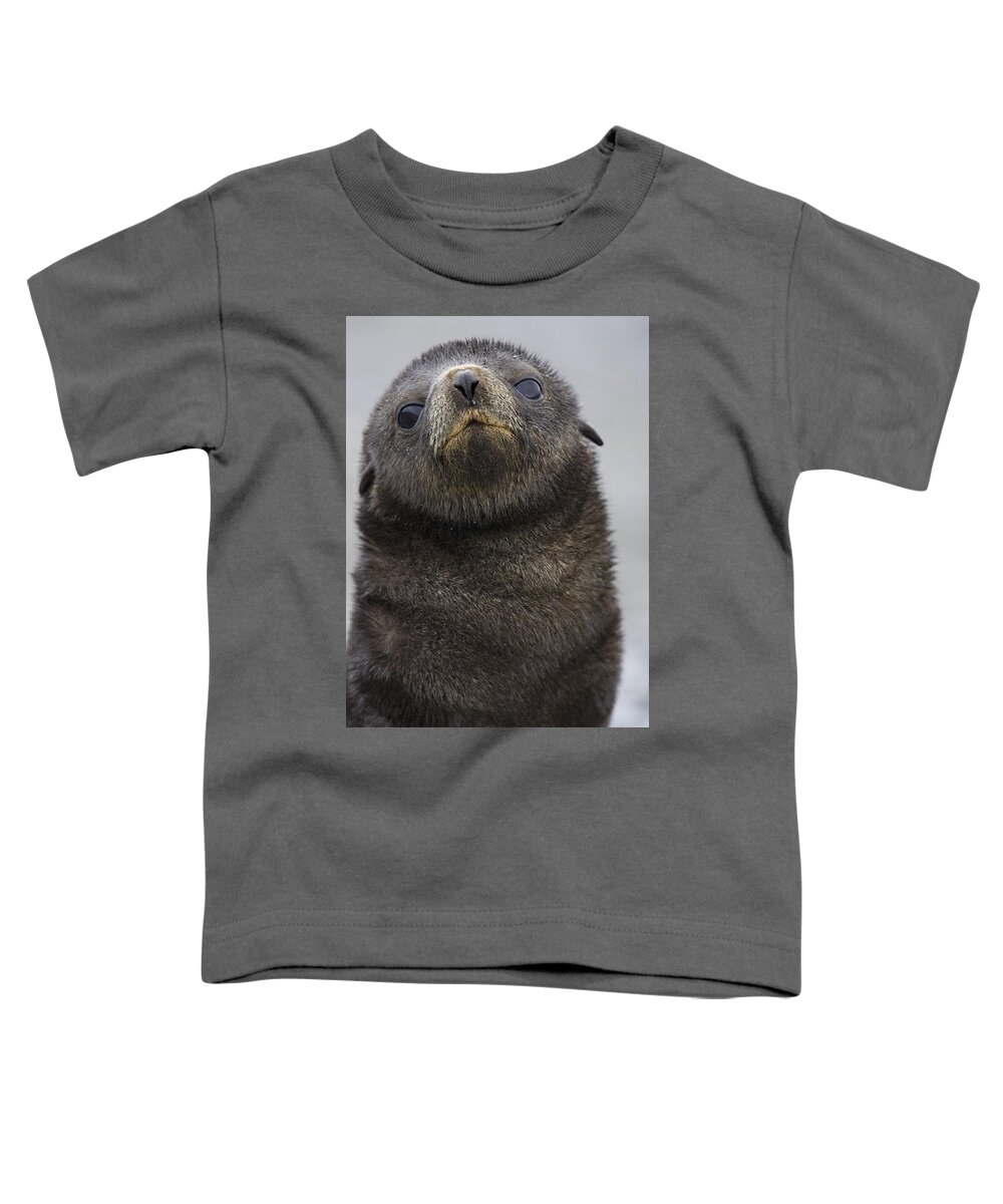 00461780 Toddler T-Shirt featuring the photograph Antarctic Fur Seal Pup on South Georgia Isl by Suzi Eszterhas