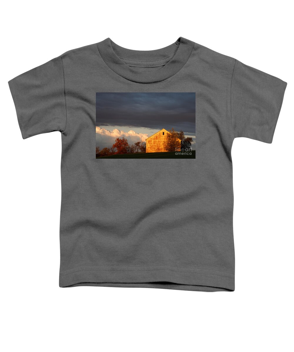 Pennsylvania Toddler T-Shirt featuring the photograph Autumn Glow with Storm Clouds by Karen Lee Ensley