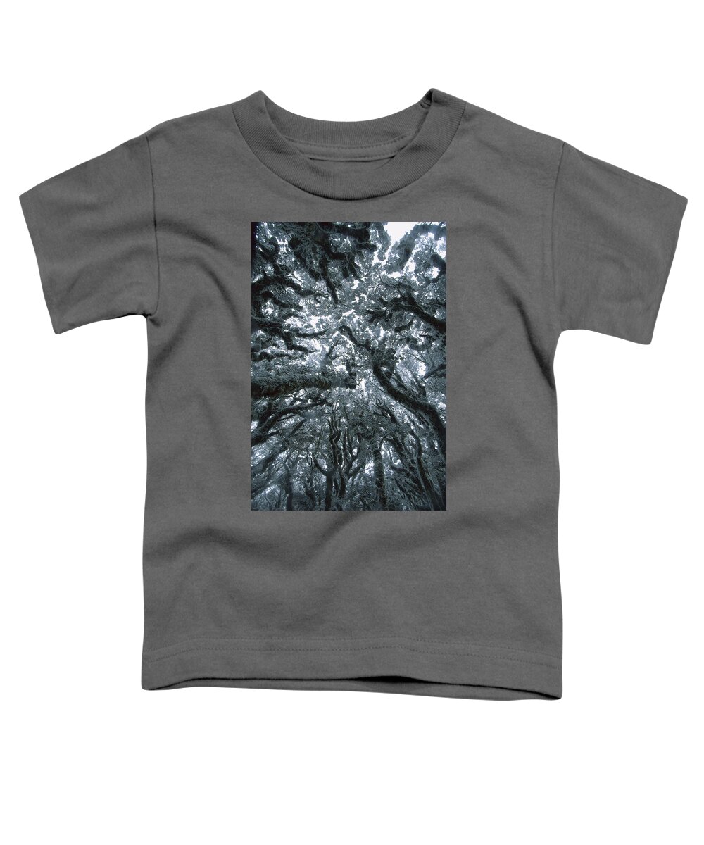 Hhh Toddler T-Shirt featuring the photograph Autumn Snow On Beech Trees, Routeburn by Colin Monteath