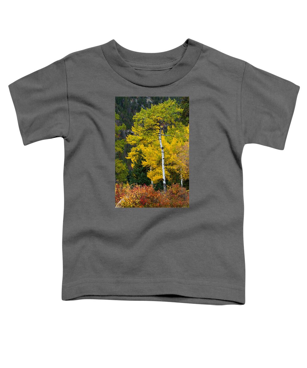 Autumn Colors Toddler T-Shirt featuring the photograph Autumn Wonder by Jim Garrison