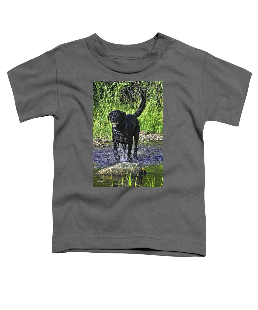 Dog Toddler T-Shirt featuring the photograph Avalanche at Play 2 by Fred J Lord