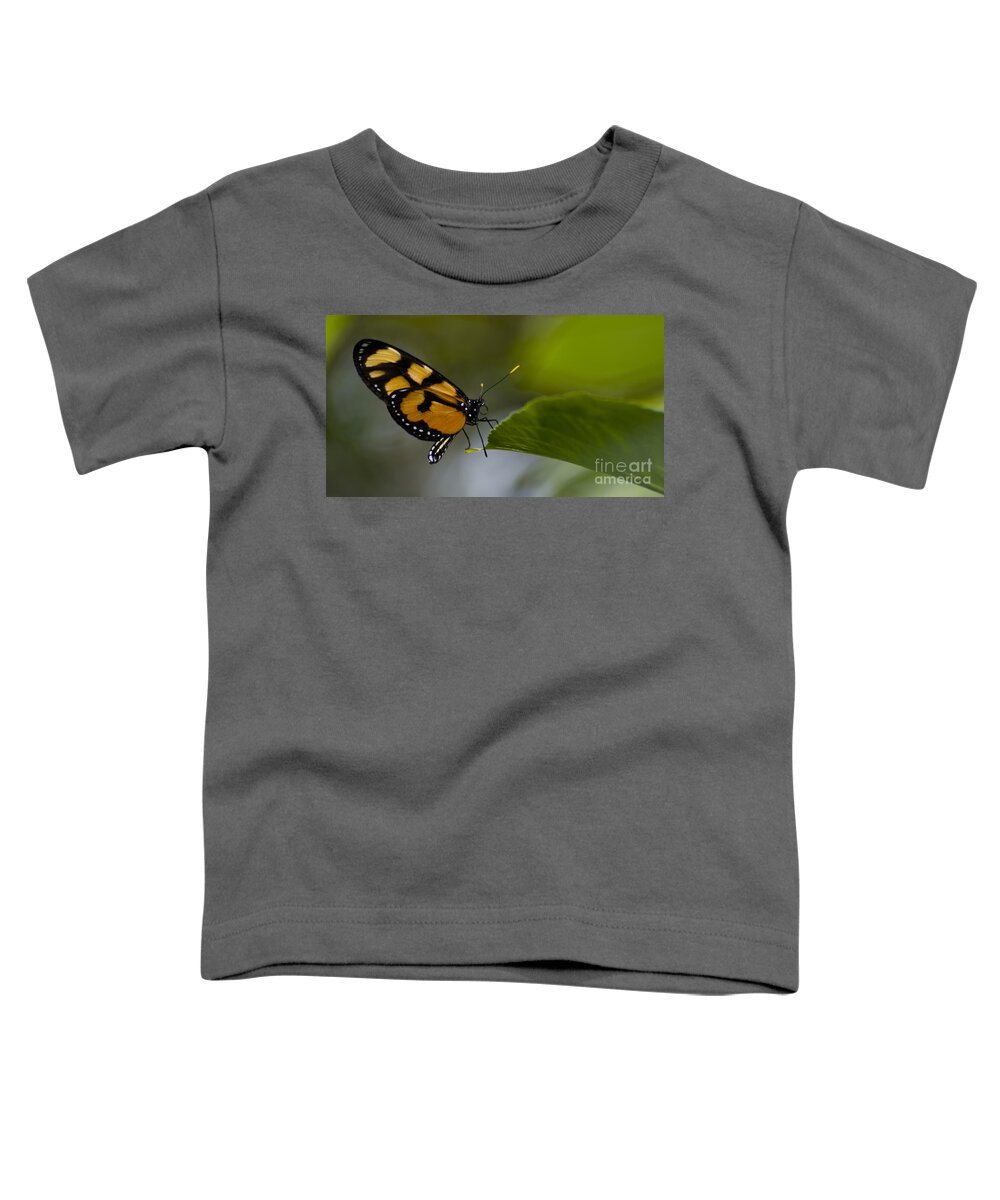 Butterfly Toddler T-Shirt featuring the photograph Balancing Act by Heather Applegate