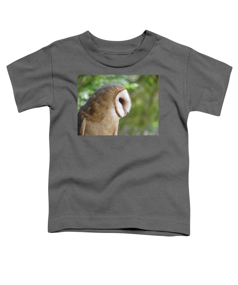 Barn Owl Toddler T-Shirt featuring the photograph Barn Owl by Randy J Heath
