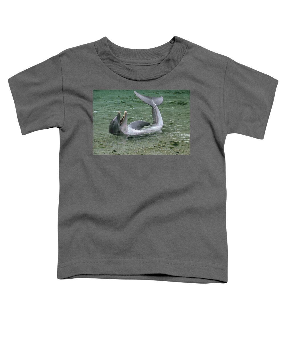 Mp Toddler T-Shirt featuring the photograph Bottlenose Dolphin Playing In Shallows by Flip Nicklin