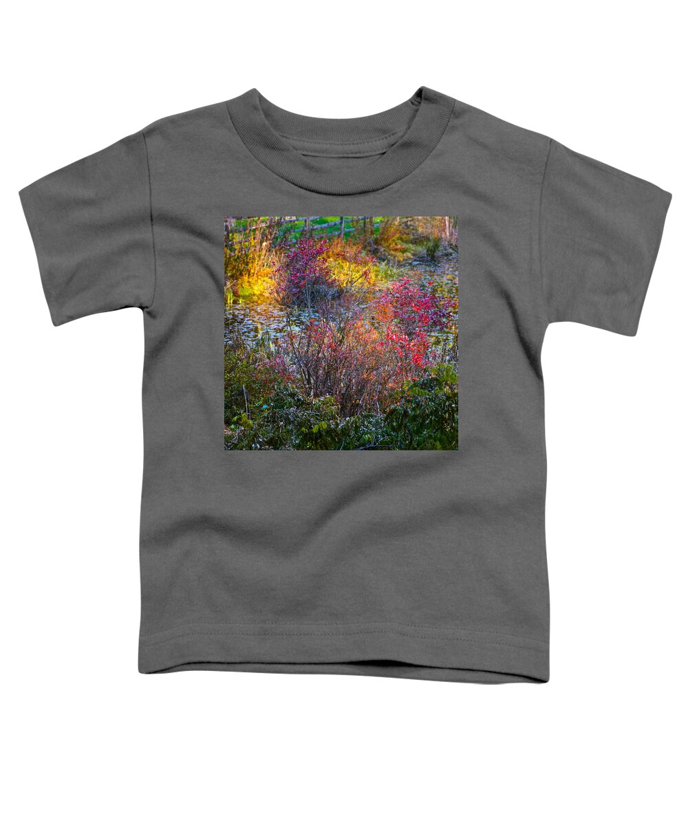 Landscape Toddler T-Shirt featuring the photograph Bright Autumn Light by Byron Varvarigos