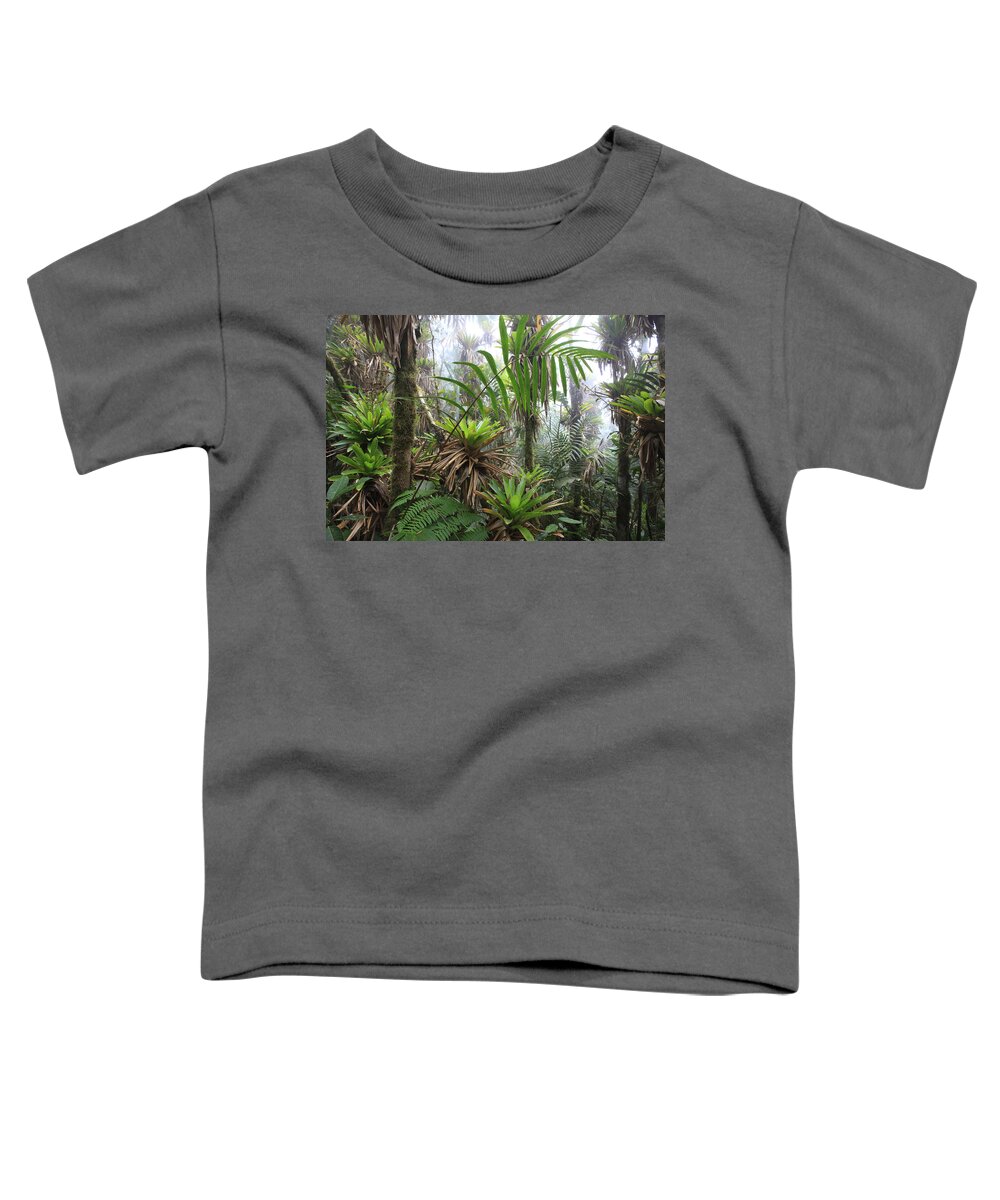 00456444 Toddler T-Shirt featuring the photograph Bromeliads And Tree Ferns by Cyril Ruoso