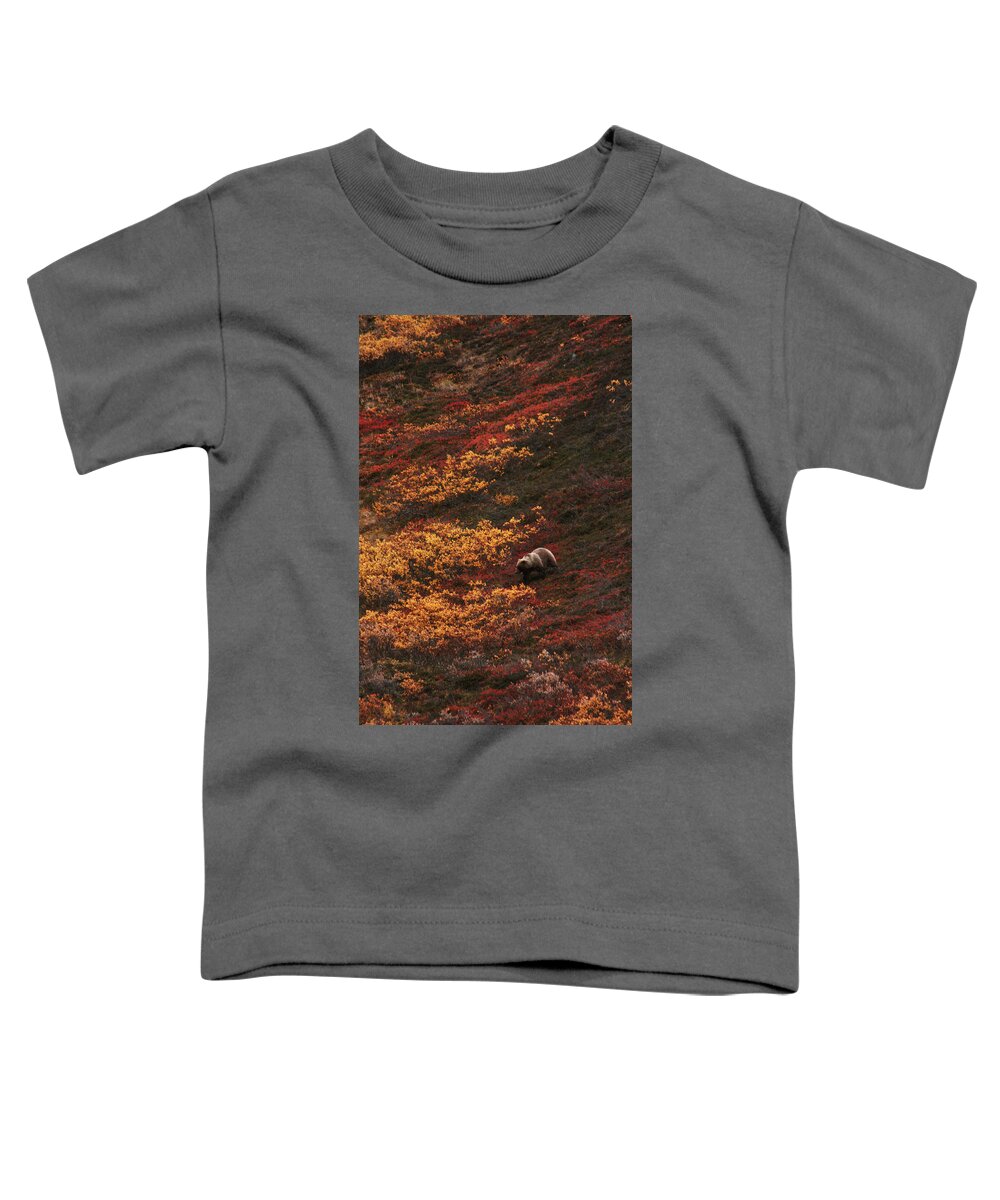 Wildlife Toddler T-Shirt featuring the photograph Brown Bear Denali National Park by Benjamin Dahl