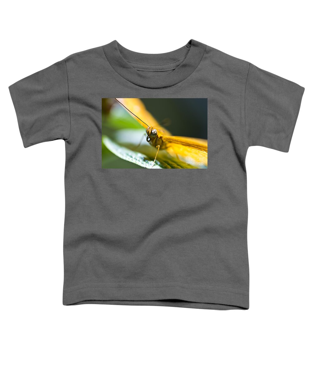 Butterfly Toddler T-Shirt featuring the photograph Bug out by Leslie Leda