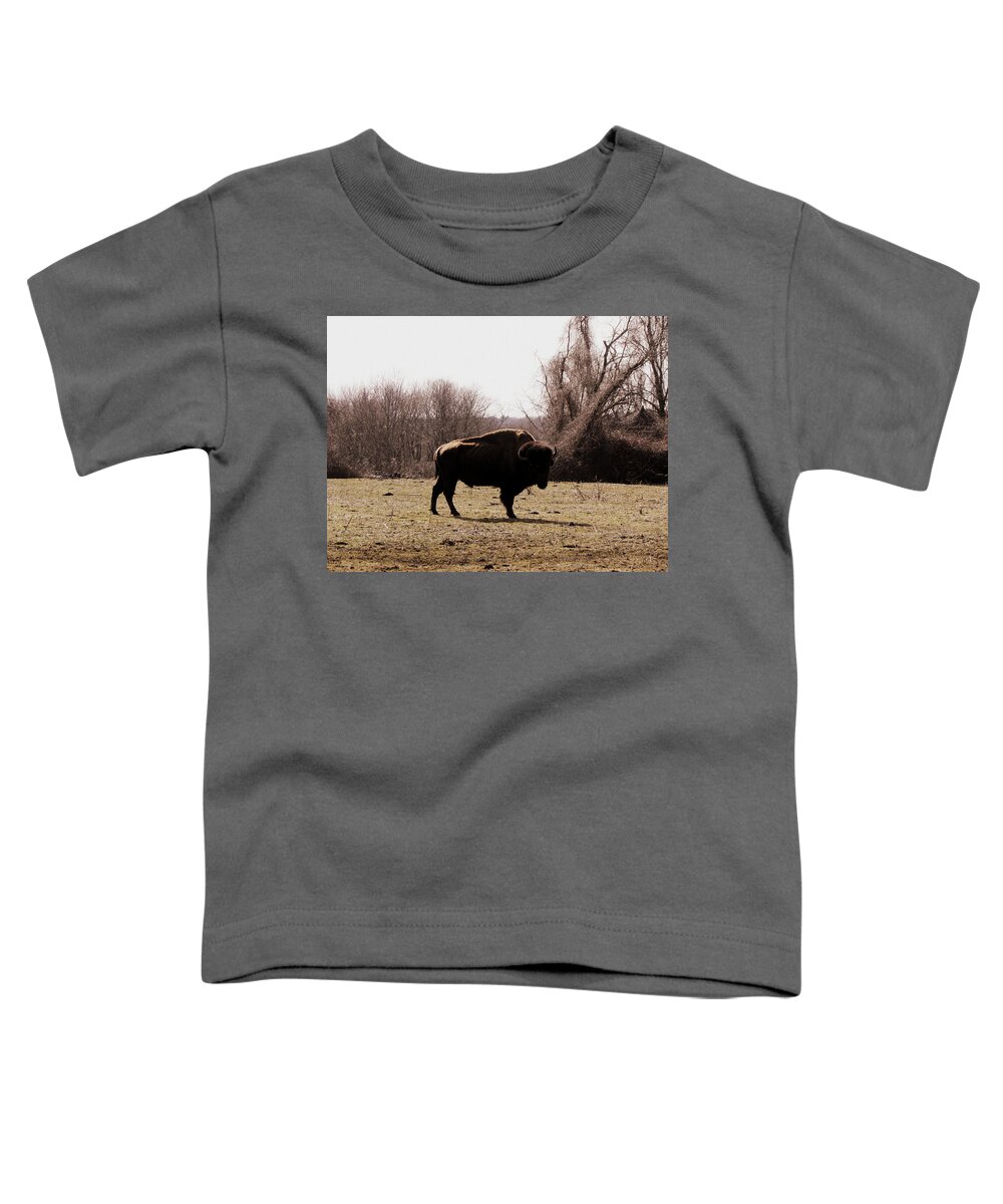 Bull Toddler T-Shirt featuring the photograph Bull by Kim Galluzzo
