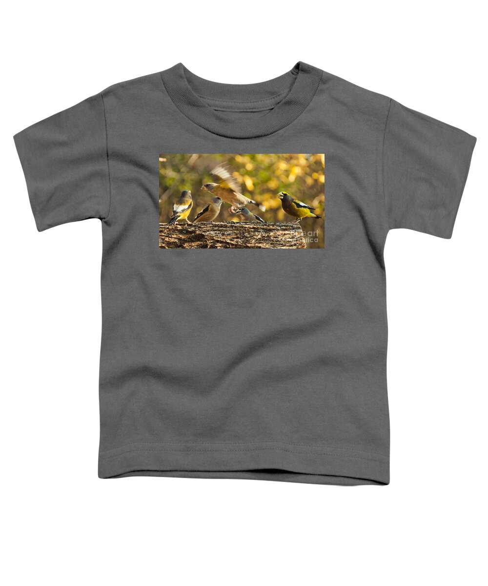 Grosbeak Toddler T-Shirt featuring the photograph Busy Birds by Cheryl Baxter