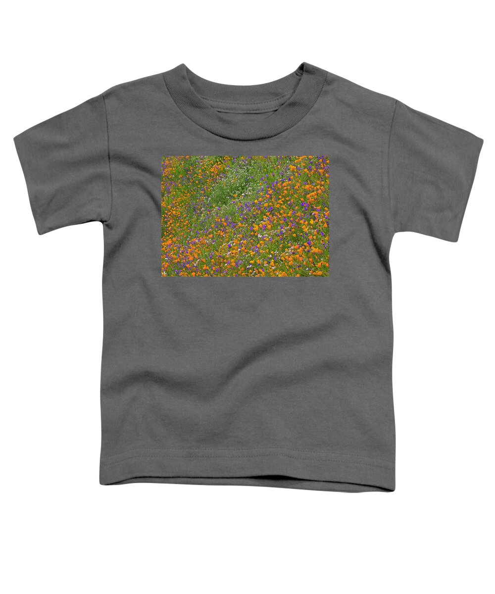 00176765 Toddler T-Shirt featuring the photograph California Poppy And Desert Bluebell by Tim Fitzharris