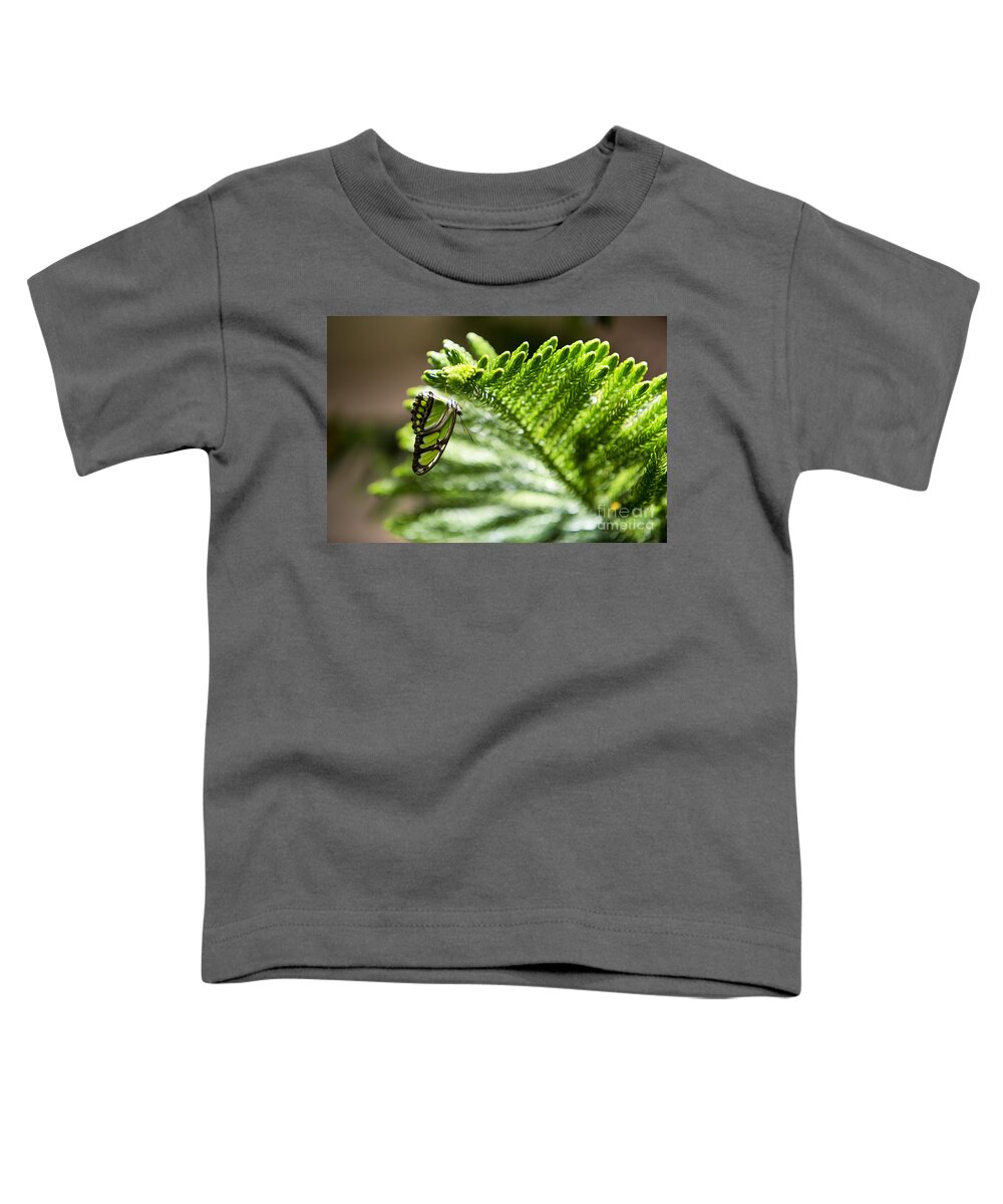 Butterfly Toddler T-Shirt featuring the photograph Camouflage by Leslie Leda