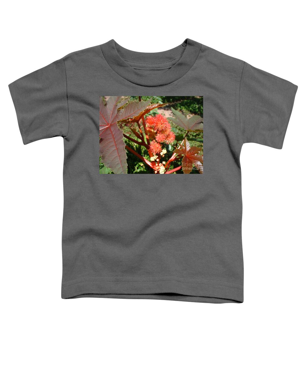 Castor Toddler T-Shirt featuring the photograph Castor by Mark Robbins