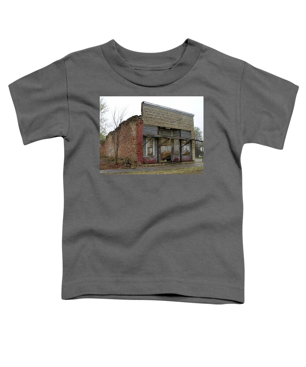 Abandoned Toddler T-Shirt featuring the photograph Cat in Elk Falls by Keith Stokes