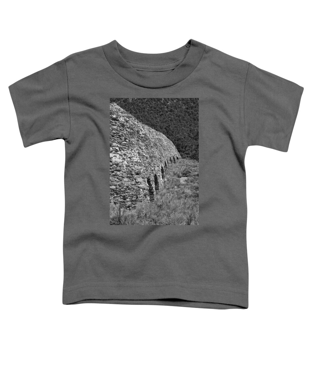 Charcoal Toddler T-Shirt featuring the photograph Charcoal Kilns by Betty Depee