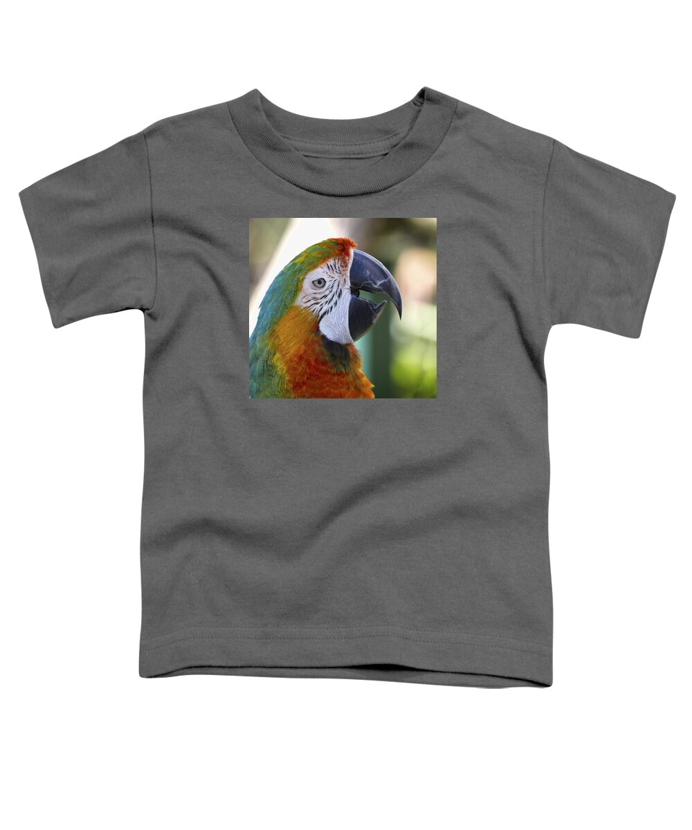 Clare Bambers Toddler T-Shirt featuring the photograph Chatty Macaw by Clare Bambers